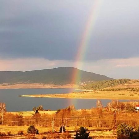 Вили Green Cigov Csark Kültér fotó