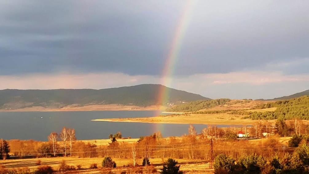 Вили Green Cigov Csark Kültér fotó